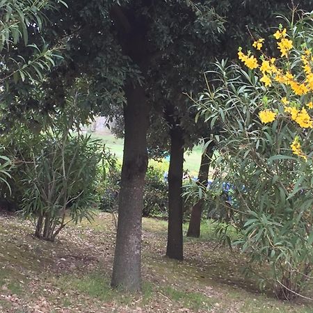 Appartamento Dell Agriturismo Pane E Olio Тоди Экстерьер фото