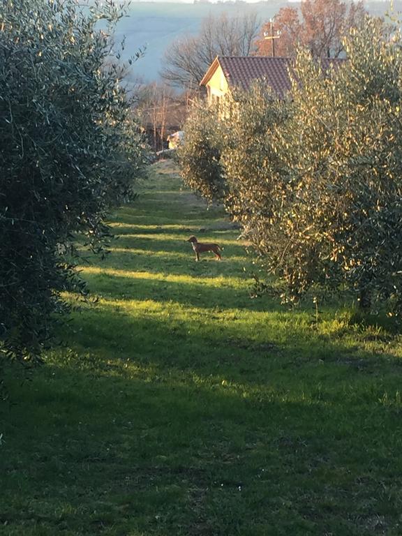 Appartamento Dell Agriturismo Pane E Olio Тоди Экстерьер фото